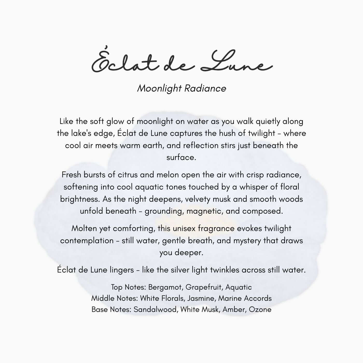 Sola Flower Diffuser | Éclat de Lune