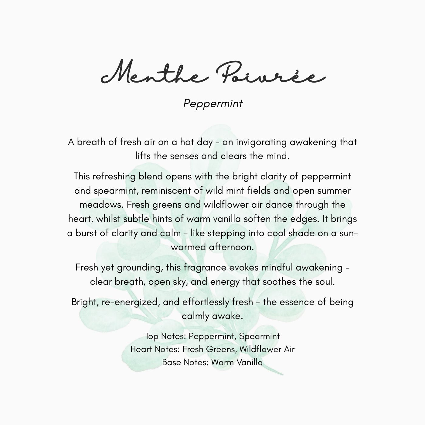 Sole Soak - Foot Soak | Menthe Poivrée