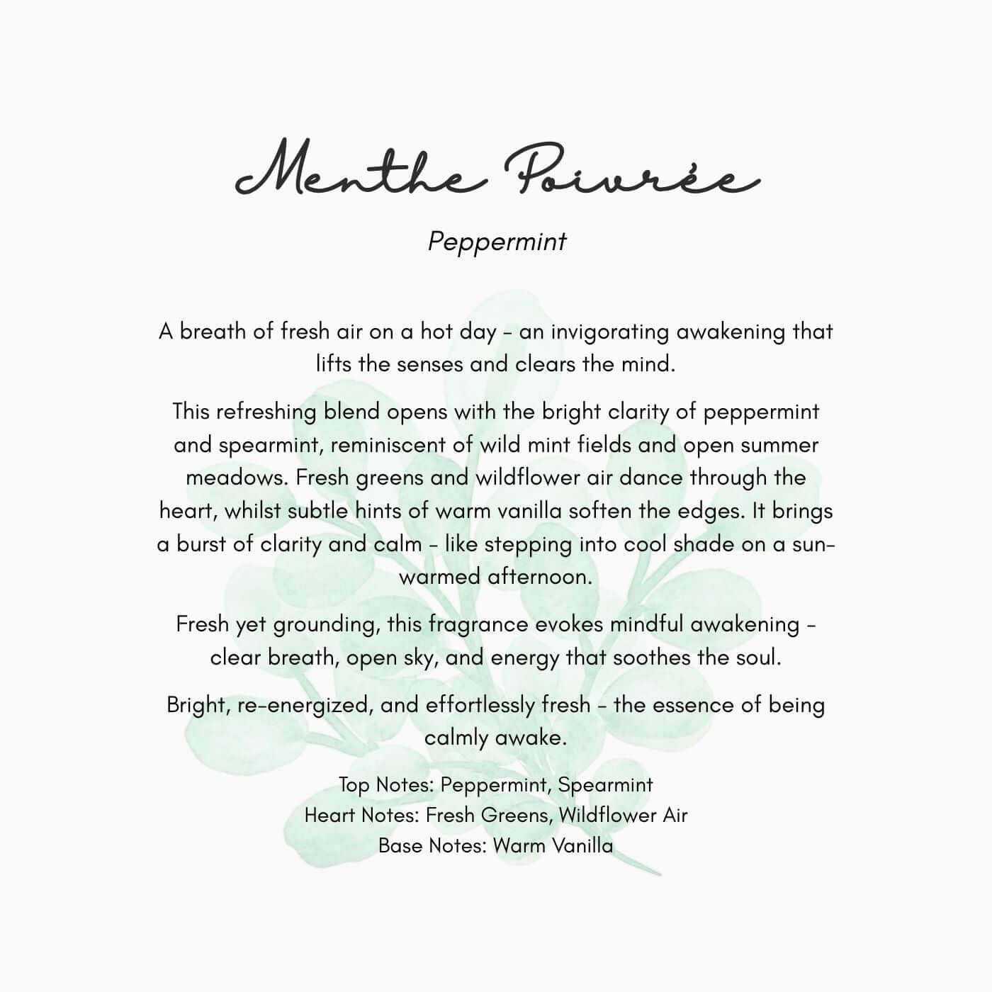Menthe Poivrée