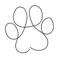 VEGAN & CRUELTY FREE