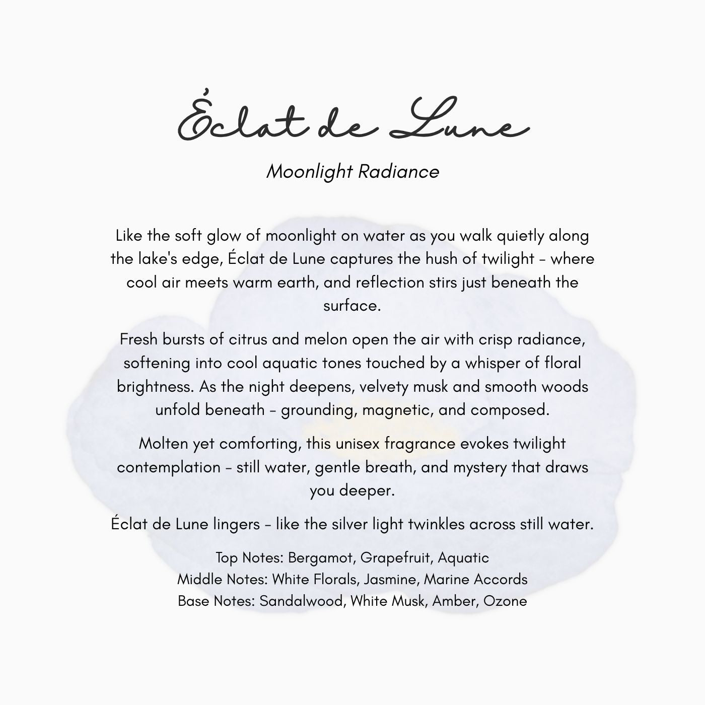 Sola Diffuser | Handcrafted Flower Fragrance Diffuser for Home - Éclat de Lune